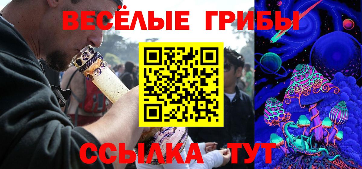 Псилоцибиновые грибы GOLDEN TEACHER  Вход с VPN  Галлюциногенные грибы ЛСД  Чебоксары 