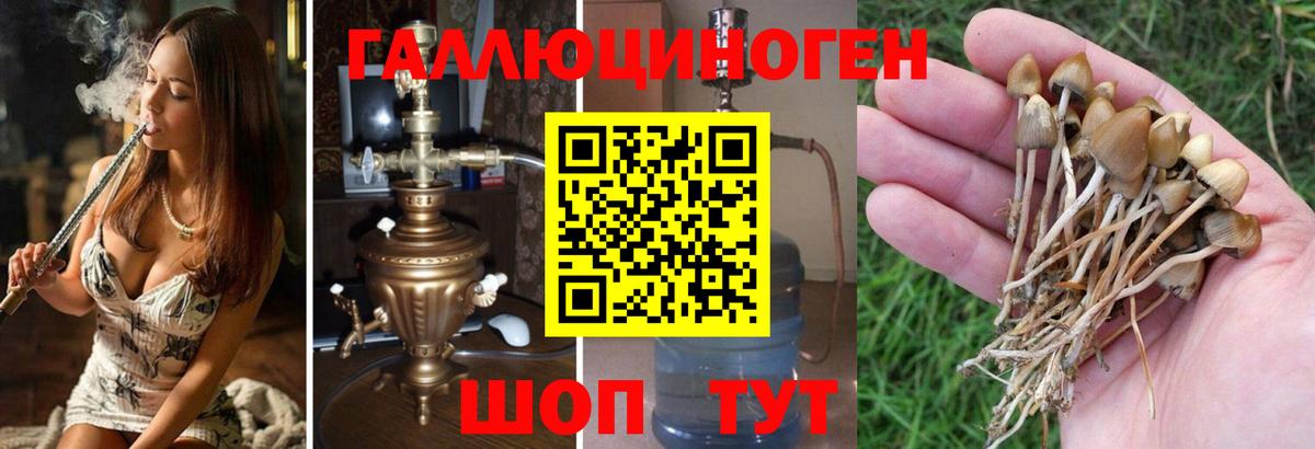 Псилоцибиновые грибы MAGIC MUSHROOMS Чебоксары