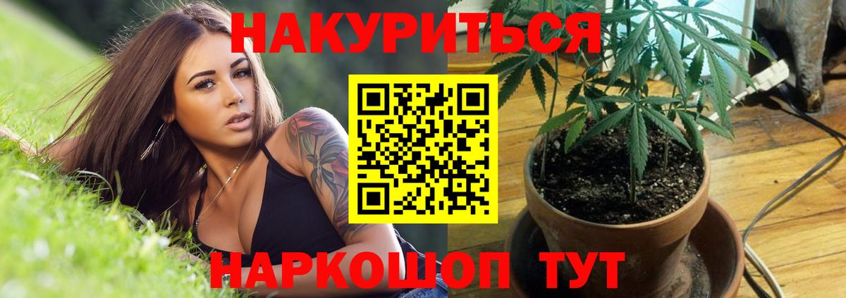 Бошки марихуана ГИДРОПОН Чебоксары